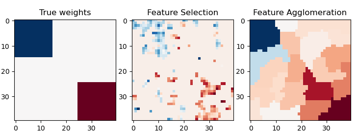 True weights, Feature Selection, Feature Agglomeration