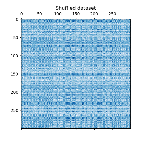 Shuffled dataset